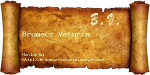 Brumecz Veturia névjegykártya